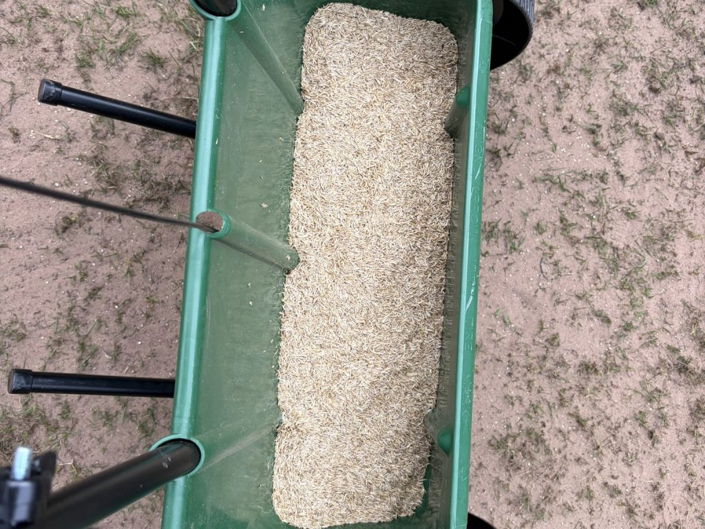 Grass seed in the hopper of a lawn spreader