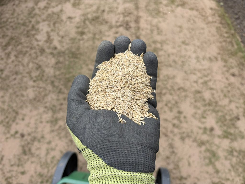 How to prepare soil for grass seed