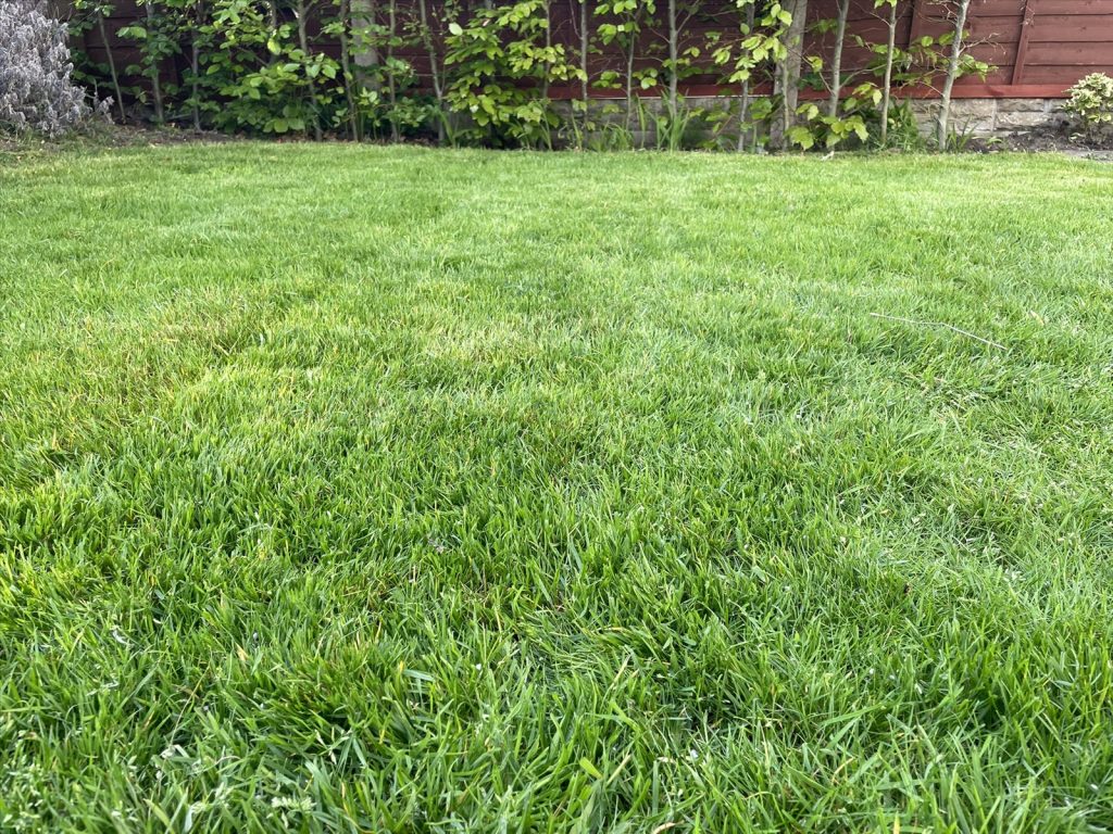 UK lawn care calendar: a month-by-month guide