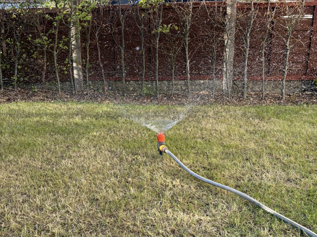 How to water new grass seed