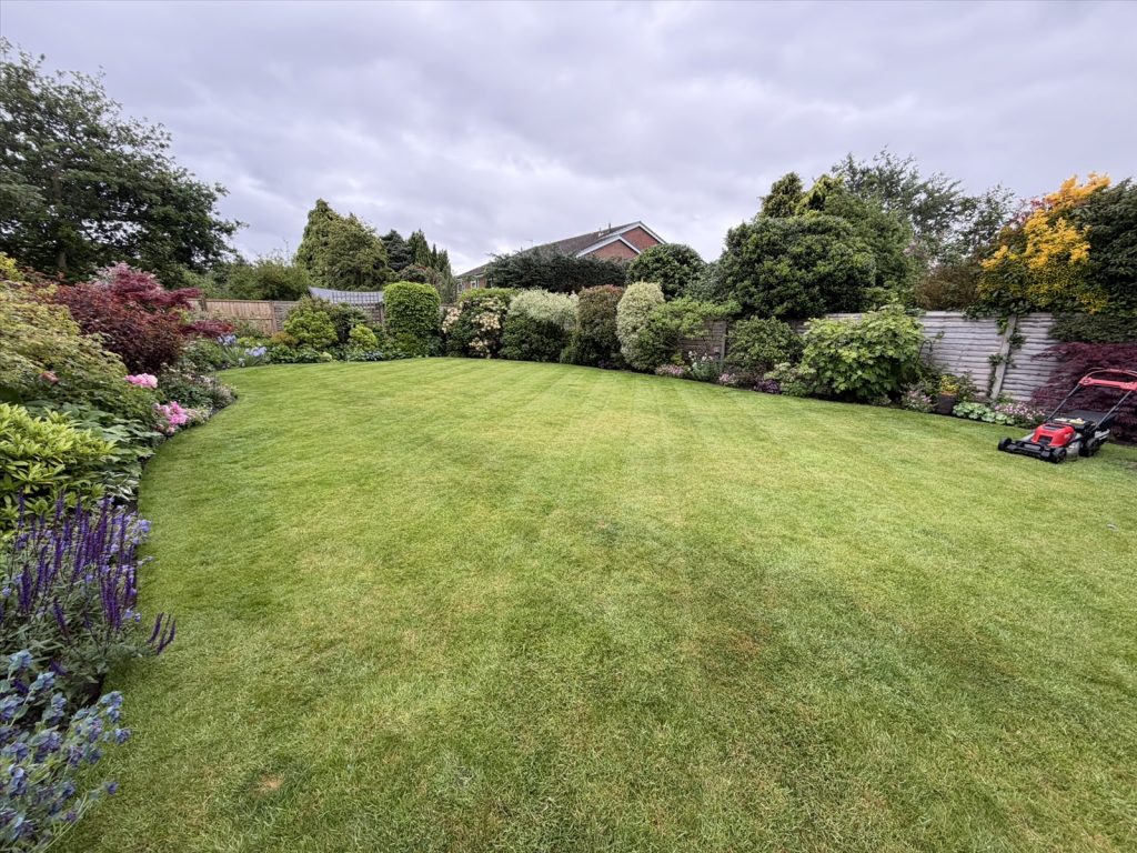 How often should you mow a lawn?