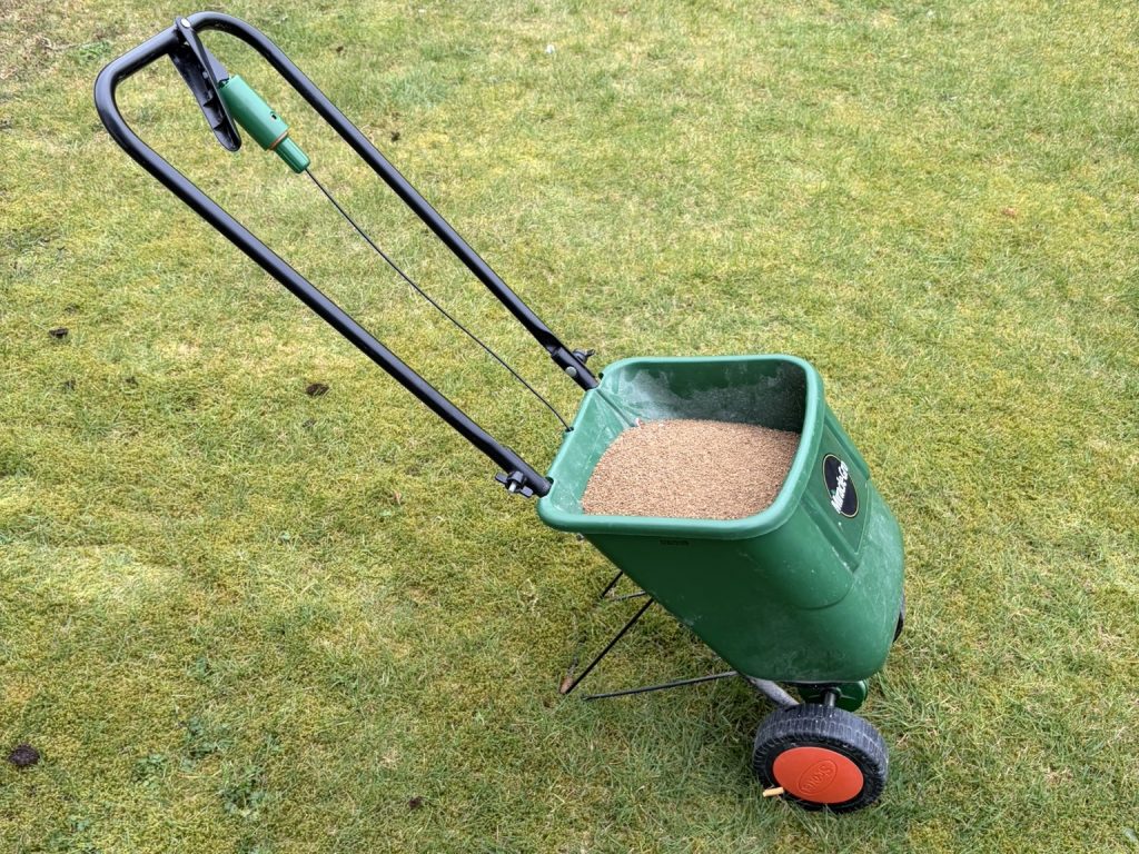 A wheeled lawn spreader with granules in its hopper